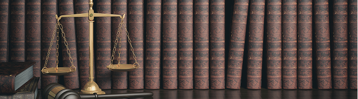 Legal Consultation